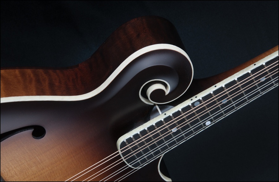 F5T Special - Cedar top, X-Braced, Ivoroid binding | Průcha Bluegrass ...