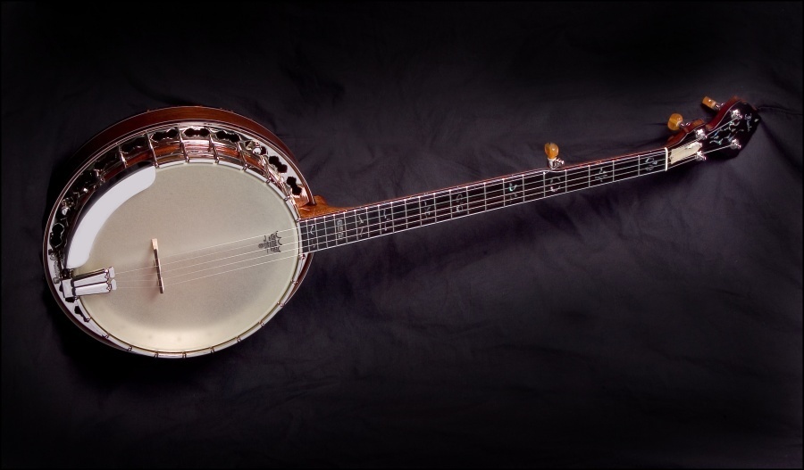 Prucha banjo sales