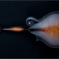 F5 Standard - X-Braced, Speed neck