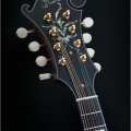 F5 Standard - X-Braced, Speed neck