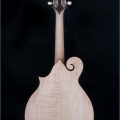 F5T SPECIAL - Cedar top, natural color