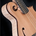 F5T SPECIAL - Cedar top, natural color