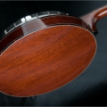 Fall In Love - Plectrum Mahogany