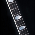 Legend Standard - Plectrum Top Tension