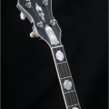 Legend Standard - Plectrum Top Tension