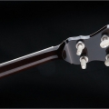 Legend Standard - Plectrum Top Tension