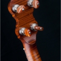 Open Back Fretless