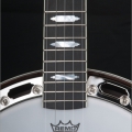 Legend Standard TT RB18  24frets fingerboard