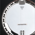 Professional 24 frets