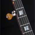 Professional 24 frets