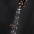 SPIRIT – 24Frets, gold/black nickel engraved parts