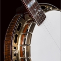 Spirit Alison Brown Signature Model Brass Patina