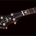 Spirit Alison Brown Signature Model Brass Patina