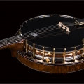 Fall In Love - Tenor - Burl Walnut, black nickel / gold