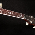 Spirit Steve Dilling Standard Model