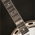 Spirit Jason Burleson Signature Model - Standard banjo pot