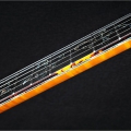 SPIRIT - 24 frets, engraved gold / black, abalone strip