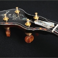 SPIRIT - 24 frets, engraved gold / black, abalone strip