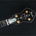 SPIRIT - 24 frets, engraved gold / black, abalone strip