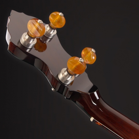 Spirit Alison Brown Signature Mahogany Model