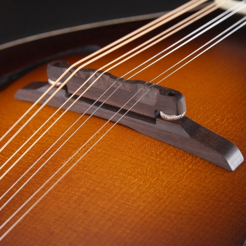 A5 T Ivoroid Binding