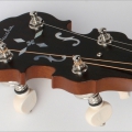 Pioneer Tenor