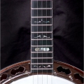 Diamond Point Curly Maple