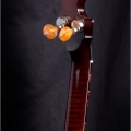 Diamond Point Curly Maple